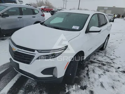 WebP изображения Chevrolet Equinox 2023 на фоне зеленых лесов