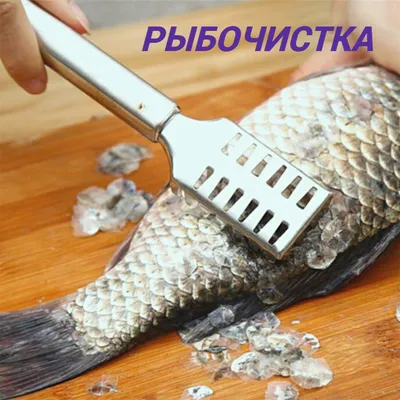 Картинка рыбы: скачать png изображение