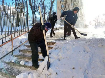 Зимние радости: снежные фотографии для любого устройства.