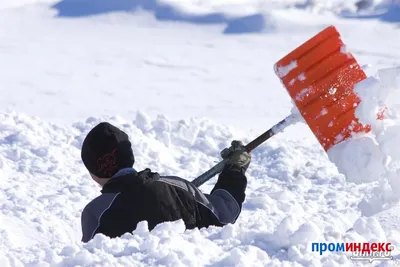 Снег в объективе: фотографии природы во время чистки снега.