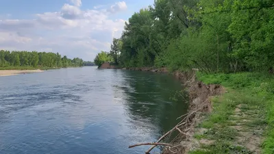 Качественные изображения Чорна гора виноградів на айфон