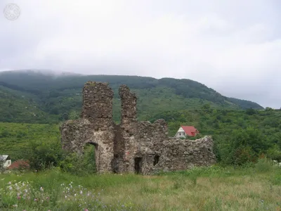 Фотка Чорна гора виноградів, которая возьмет вас в другой мир