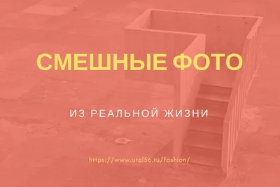 Веселые моменты на изображениях: выберите размер