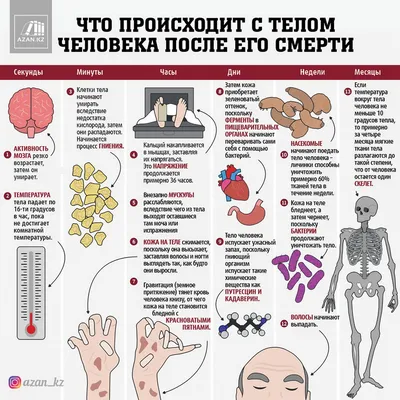 Безмолвные свидетели: изображения человека в посмертной жизни