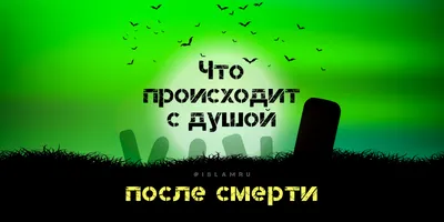 Отражение души в изображениях: выберите формат своего пути