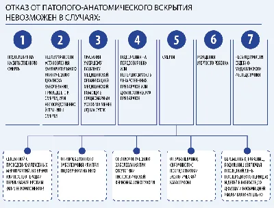 Путеводитель по миру после смерти: фото человека в выбранном формате