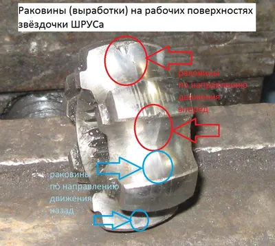 Фотография шруса в машине: формат jpg, размер M