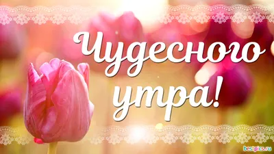 Утренние чудеса: магия рассвета