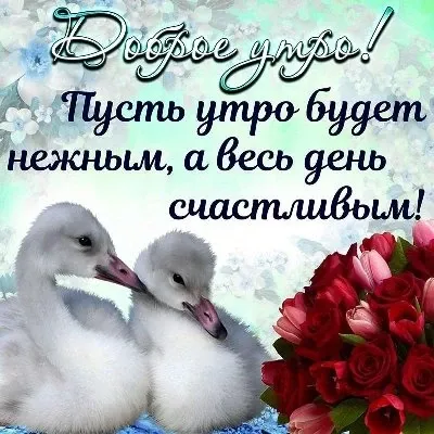 Утренние чудеса: природа в рассвете