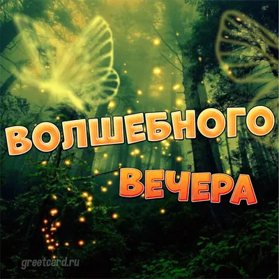 Вечерний фотоальбом: взгляд на мир в темноте