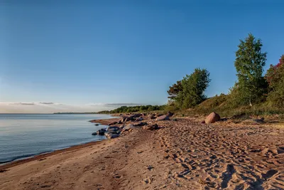 Великолепные фото Чудского озера в черно-белом стиле