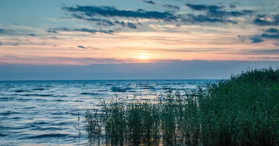 Фотография Чудского озера: фоновое искусство в HD качестве