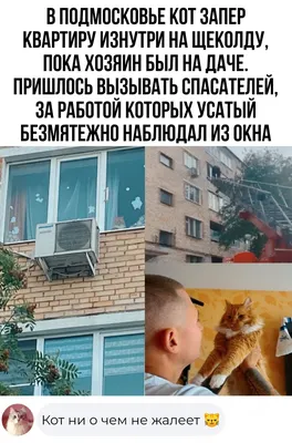 Смешные снимки с улыбкой в надежном JPG формате