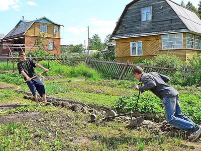 Веселые снимки, отображающие яркие моменты на даче вместе с шутками в JPG формате