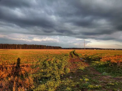 HD обои для дачи: Природные пейзажи в высоком качестве.