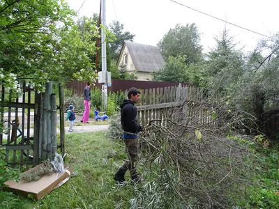 Вдохновляющие виды на дачном участке: фотокартины