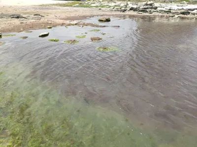 Изображение с вечерним видом на Каспийское море из окна номера