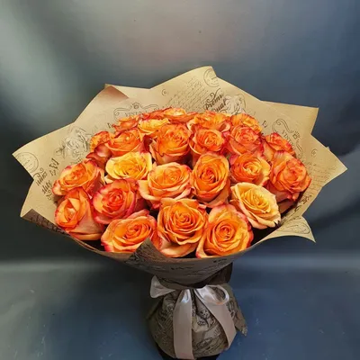 Фотография розы с уникальной окраской - Дамасская роза
