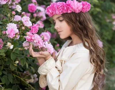 Фотография Дамасской розы с высоким качеством