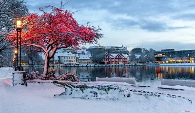 Зимние сцены Дании: Изображения высокого качества