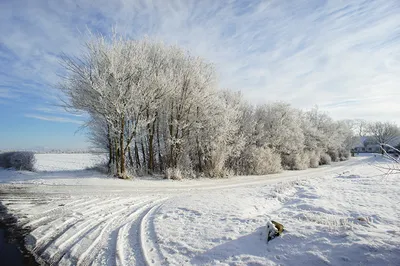 Очарование зимней Дании на картинках: Фото для сохранения