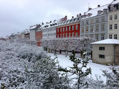 Зимние моменты в Дании: Выбор формата изображения