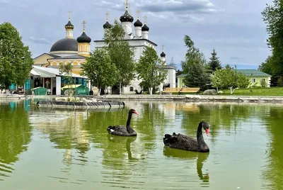 Путешествие в Давидовы пустыни через фотографии