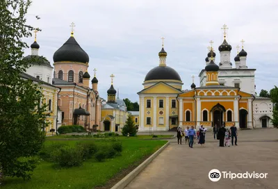 Фотоэкскурсия в Давидовы пустыни: увидьте мир с новой стороны