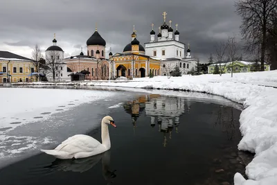 Фотоэкскурсия в Давидовы пустыни: погрузитесь в атмосферу пустыни