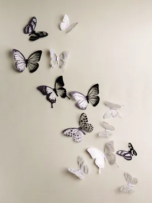 Картинка Декоративные бабочки на стену - средний размер, WebP