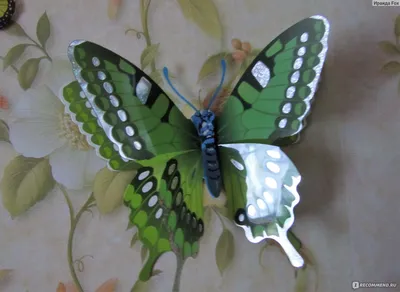 Изображение декоративных бабочек на стену - реалистичная картинка, PNG