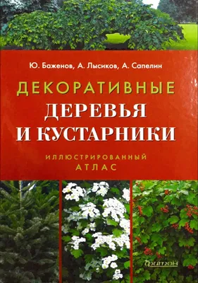 Изящество природы: Картинки декоративных деревьев и кустарников для скачивания