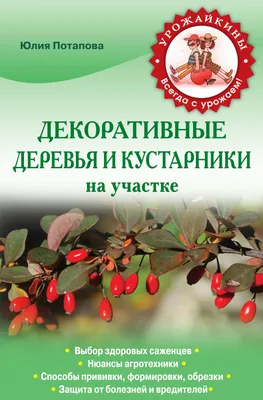 Волшебство садов: фото декоративных деревьев и кустарников, которые захватывают дух