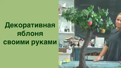 Волшебство деревьев: DIY декоративные растения для сада