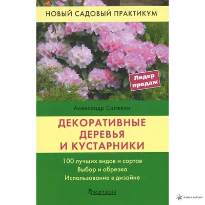 Прекрасная симфония красок: декоративные деревья во всей своей красе