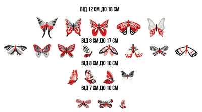 Украшение стен бабочками: картинки разных размеров и форматов