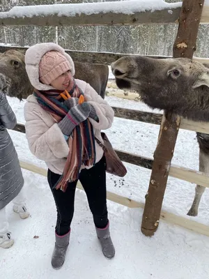 Фотографии смеха: смех гарантирован