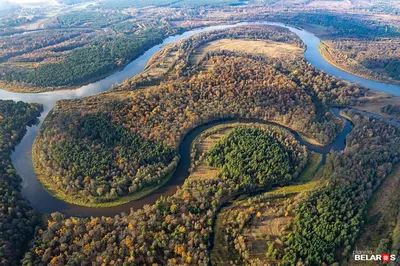 Фотография Дельта реки: Запечатлейте красоту реки