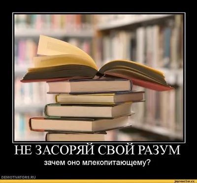 Демотиваторы новые смешные: смешные изображения для поднятия настроения с юмором и забавами в формате JPG