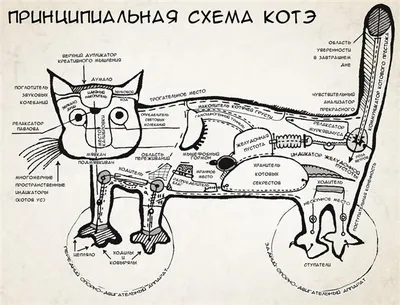 Уникальные снимки кошек в честь Дня кошек 1 марта