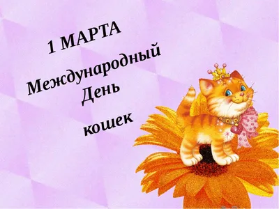 Изумительные фото кошек в честь Дня кошек 1 марта