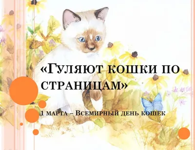 Впечатляющие снимки кошек на странице Дня кошек 1 марта