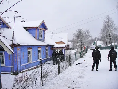 Фото Муравей: самые свежие изображения