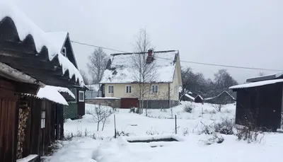 Фотография Муравья и Власовой: Скачать бесплатно в хорошем качестве