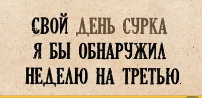 Смешные картинки для скачивания - JPG, PNG, WebP