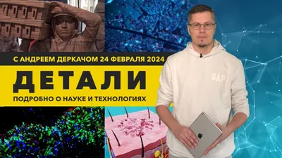 Смешные фотографии депрессии: 2024 в webp