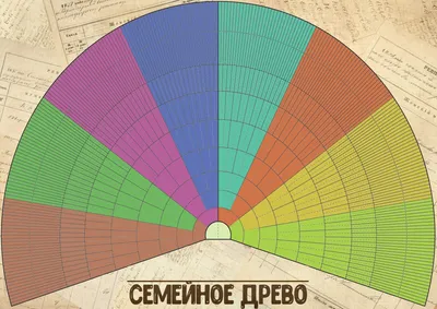 Обои на телефон с деревьями для родословной