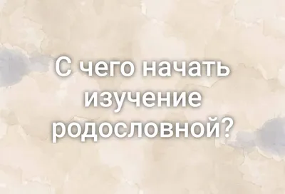 Обои на телефон с изображением деревьев: добавьте свежий вид на ваш гаджет