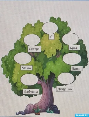 Изображения деревьев для родословной: выберите формат и размер