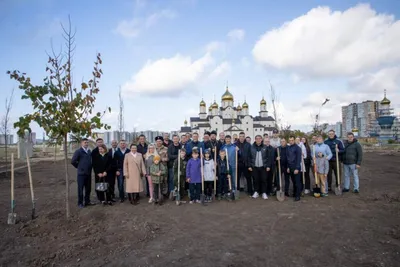 Природные великаны: фото потрясающих анапских деревьев